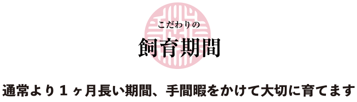 こだわりの飼育期間