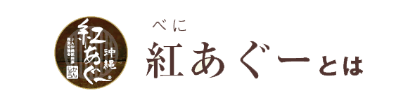 紅あぐーとは