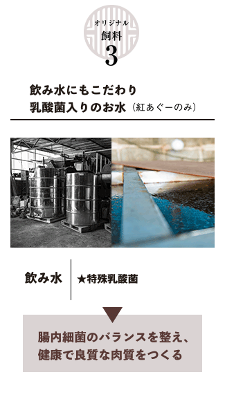 オリジナル飼料3