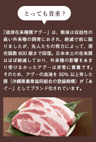 とっても貴重？