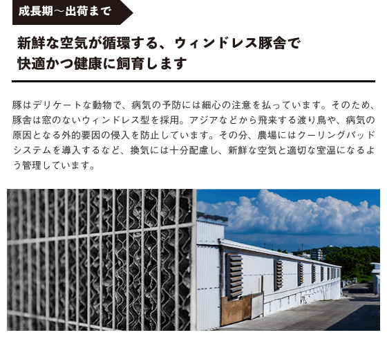 オリジナル飼料3